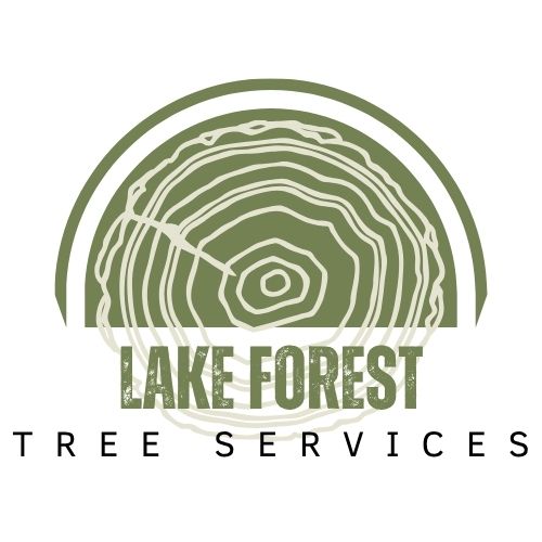 CityHands Lake Forest Tree Services logo