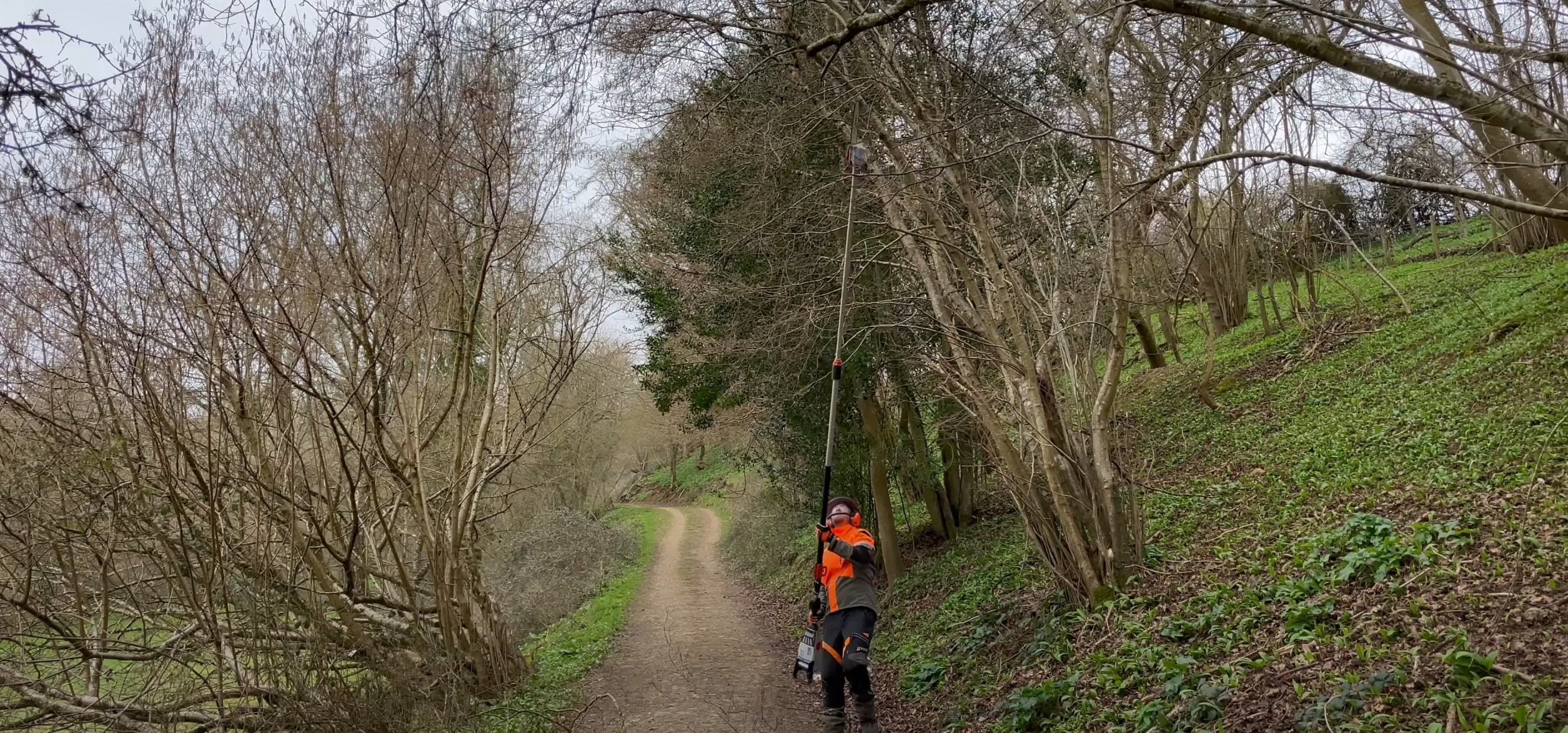 Professional arborist performing tree maintenance on a trail in Lake Forest, CA