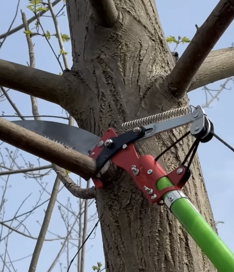 Professional tree pruning equipment for seasonal maintenance in Lake Forest, CA
